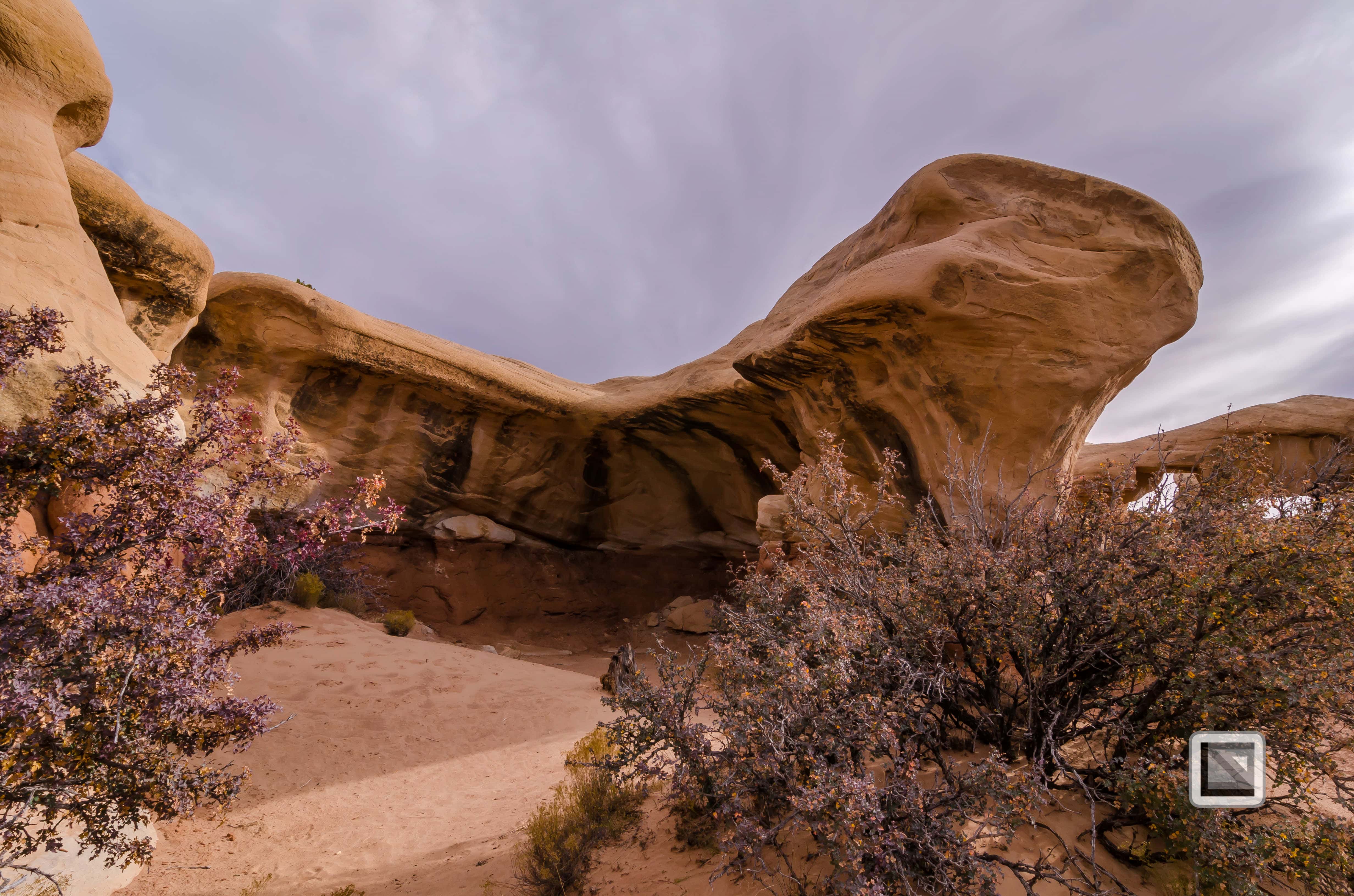 Grand Staircase Escalante