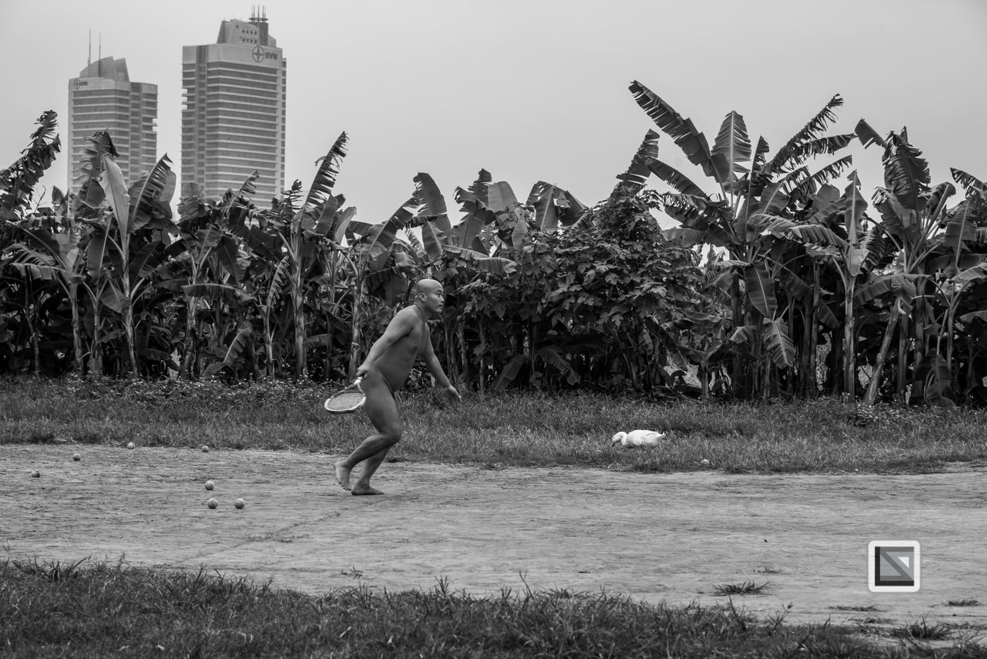 vietnamhanoibanana_island10