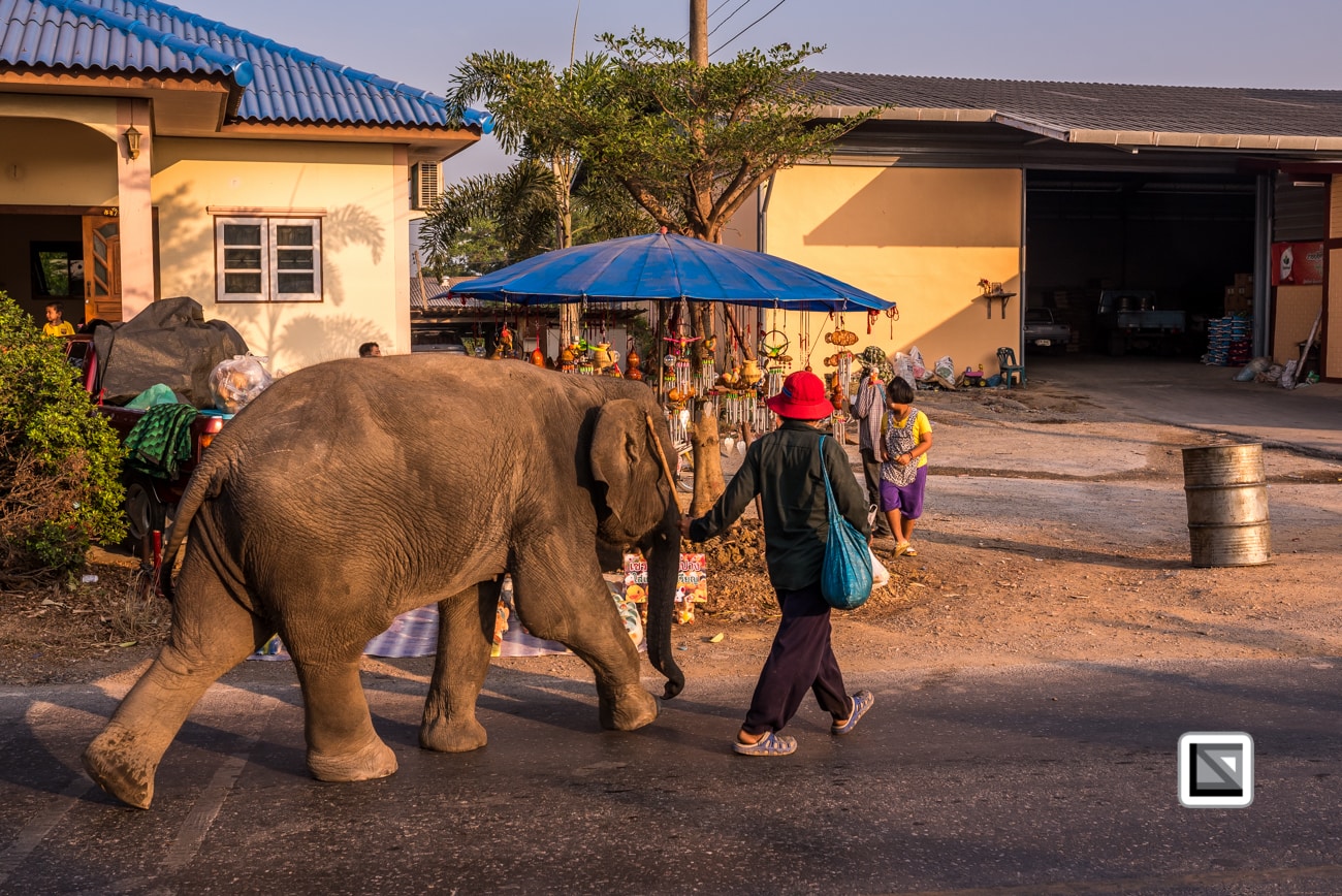 Sak_Yant_Wai_Kru_Tattoo-Festival-2